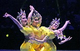 a IMG_0303.jpg